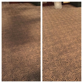 Executive Green Carpet Cleaning Before & After Photo