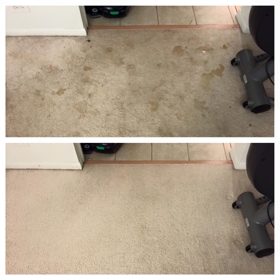 Executive Green Carpet Cleaning Before & After Photo