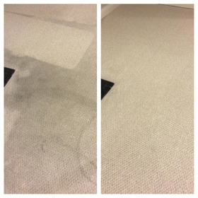 Executive Green Carpet Cleaning Before & After Photo