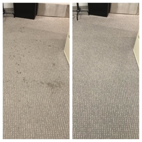 Executive Green Carpet Cleaning Before & After Photo