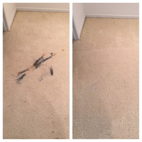 Executive Green Carpet Cleaning Before & After Photo