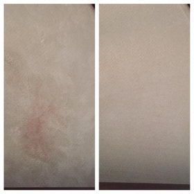 Executive Green Carpet Cleaning Before & After Photo