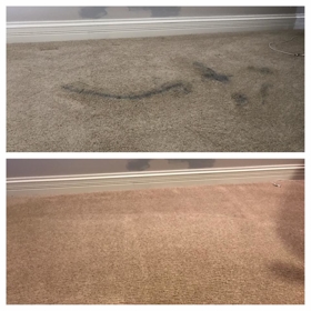 Executive Green Carpet Cleaning Before & After Photo
