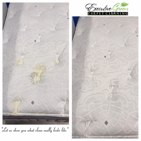 Executive Green Carpet Cleaning Before & After Photo