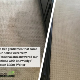 Executive Green Carpet Cleaning Before & After Photo