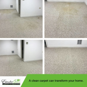 Executive Green Carpet Cleaning Before & After Photo