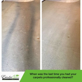 Executive Green Carpet Cleaning Before & After Photo