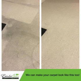 Executive Green Carpet Cleaning Before & After Photo