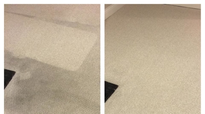 Executive Green Carpet Cleaning Before & After Photo