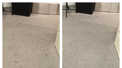 Executive Green Carpet Cleaning Before & After Photo
