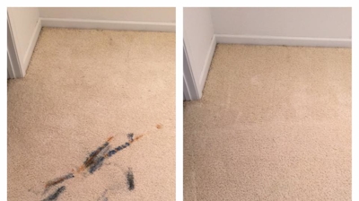 Executive Green Carpet Cleaning Before & After Photo