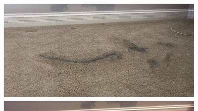 Executive Green Carpet Cleaning Before & After Photo