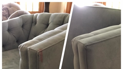 Executive Green Carpet Cleaning Before & After Photo