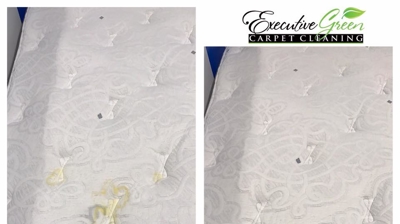 Executive Green Carpet Cleaning Before & After Photo