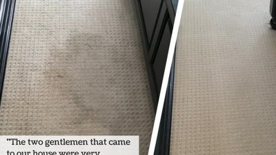 Executive Green Carpet Cleaning Before & After Photo