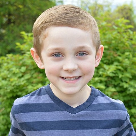 About Us Executive Green Carpet Cleaning