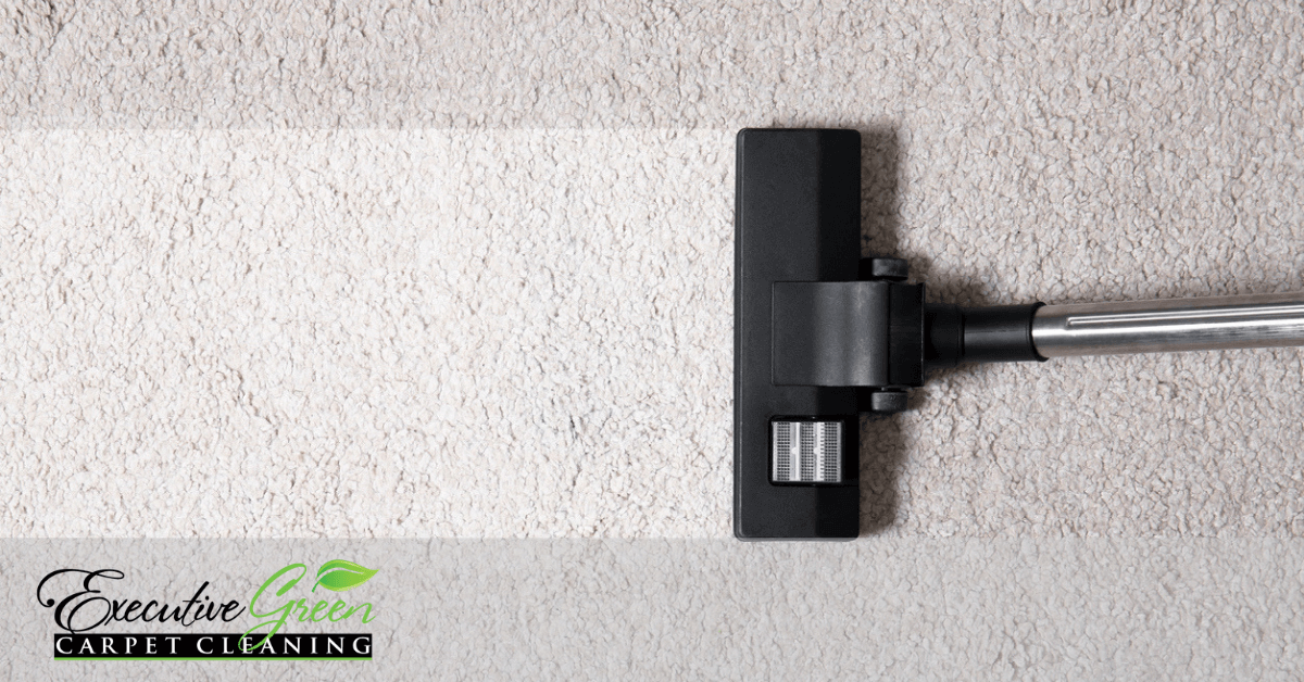 3 Reasons to Have Your Carpets Professionally Cleaned