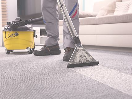 Carpet Cleaning